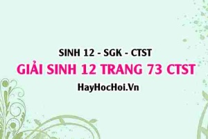 Giải Sinh 12 trang 73 Chân trời sáng tạo SGK